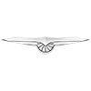 Techrules's logo picture