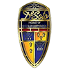DeSoto's logo picture