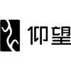 Yangwang's logo picture