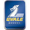 Qvale's logo picture