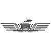 Reliant's logo picture